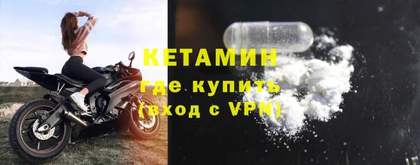 прущие грибы Нягань