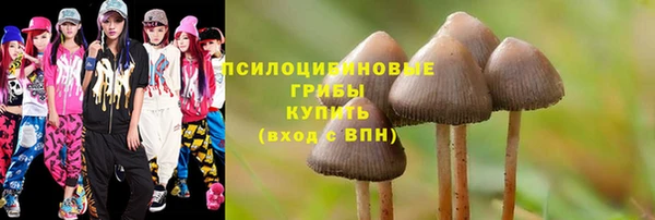 хмурый Алексин