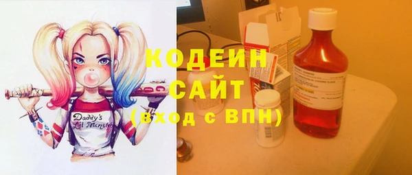 амф Няндома