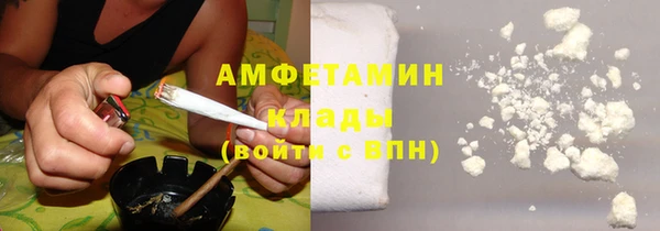 хмурый Алексин