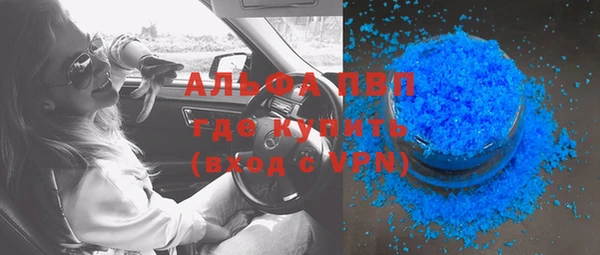 хмурый Алексин